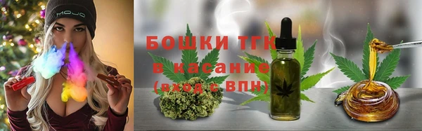 прущий лед Пересвет