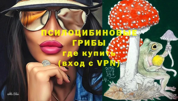 прущий лед Пересвет
