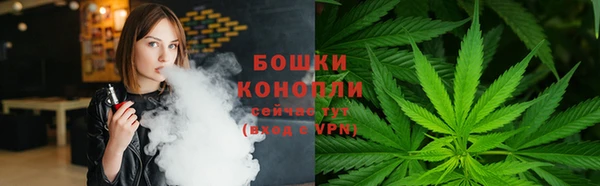 прущий лед Пересвет