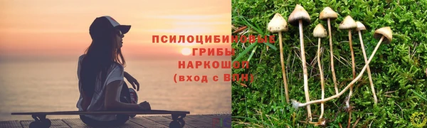 прущий лед Пересвет