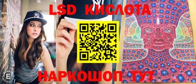 амф Гай