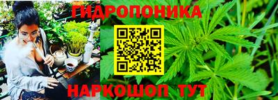 марихуана Гатчина