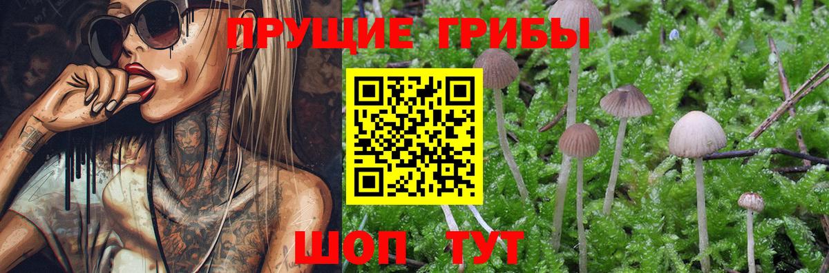 Псилоцибиновые грибы Magic Shrooms  Псилоцибиновые грибы Psilocybe  Вход с VPN  Алексеевка 