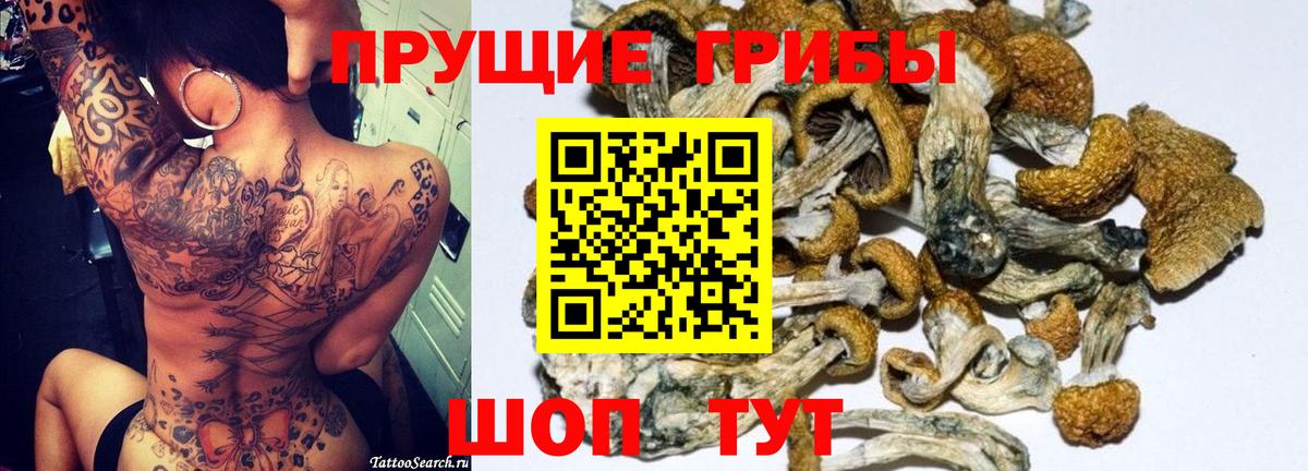Галлюциногенные грибы MAGIC MUSHROOMS Алексеевка