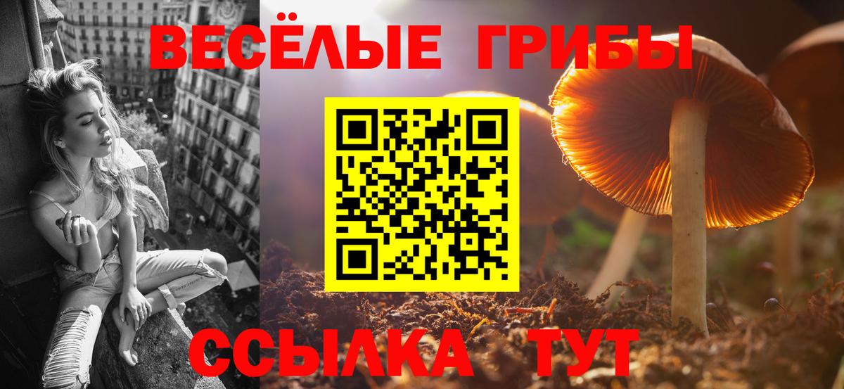 Алексеевка  Псилоцибиновые грибы Cubensis  Галлюциногенные грибы Magic Shrooms  Вход с VPN 